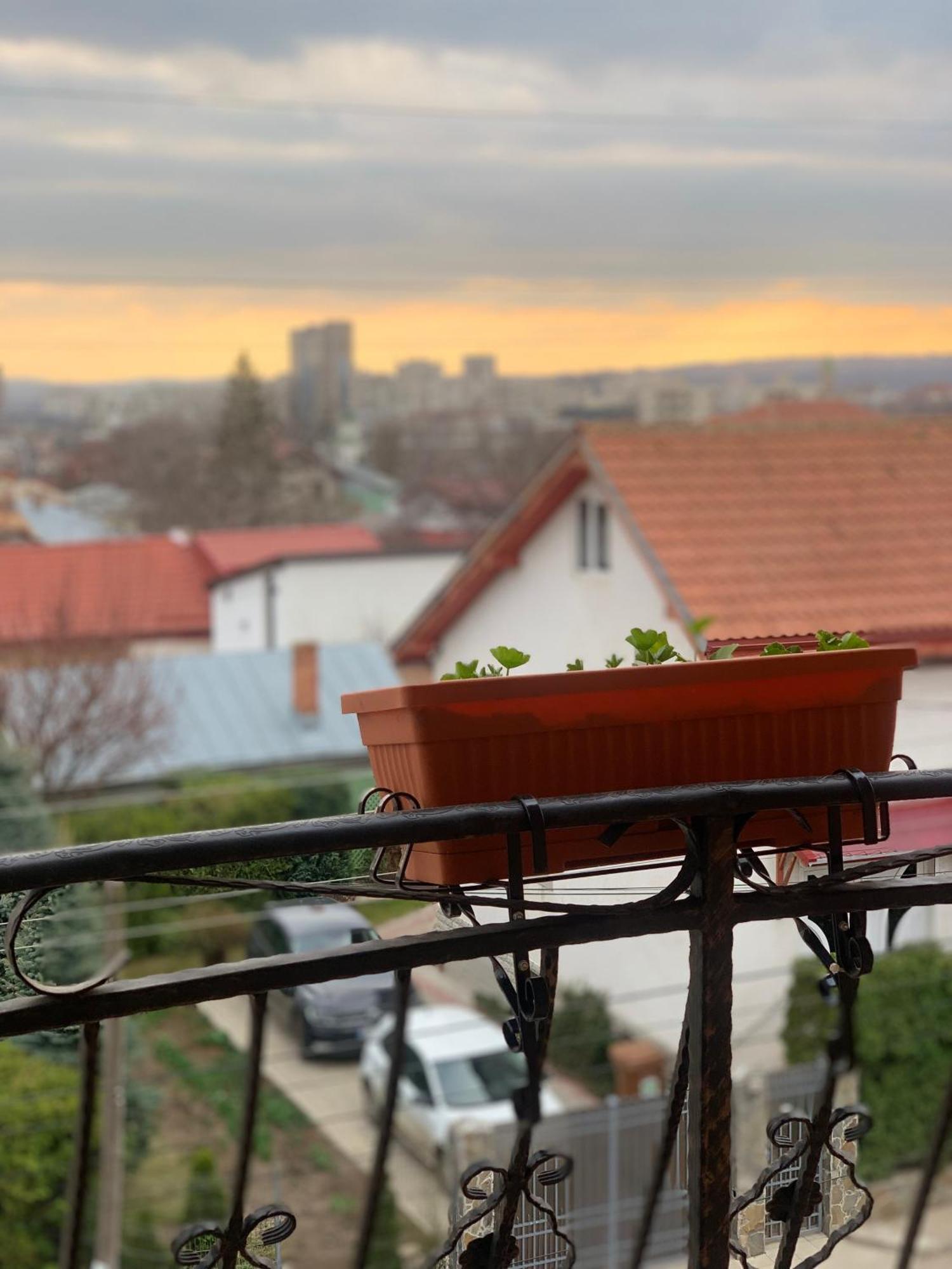 Casa Famous Daire Yaş Dış mekan fotoğraf